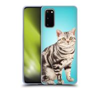 HEAD CASE RAZZE DI GATTI CUSTODIA COVER MORBIDA IN GEL PER SAMSUNG TELEFONI 1