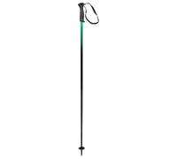 HEAD Frontside Black Green, Bastoni da Sci Unisex Adulto, Nero/Verde, 120