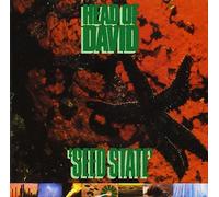 Head Of David - Seed State