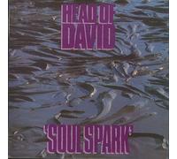 Head of David - Soul Spark