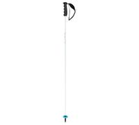 HEAD Worldcup Rebels Carbon - Bastoncini da Sci Unisex, Colore: Bianco/Nero/Blu velocità, 120