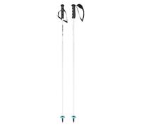 Head Worldcup Rebels Carbon Poles Nero 120 cm