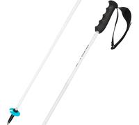 Head Worldcup Rebels Carbon Poles Nero 120 cm