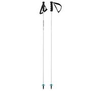 HEAD Worldcup Rebels Carbonio, Bastoncini da Sci Unisex, Bianco, 120 cm