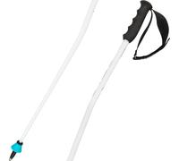 Head Worldcup SG wht/blk/speed blue poles - 110 cm