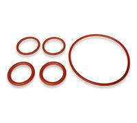 HeadSeal, Set con guarnizioni per pompa dell’acqua di prima qualità, compatibile con i modelli Bestway Lay Z Spa Airjet e Hydrojet (tipo A)