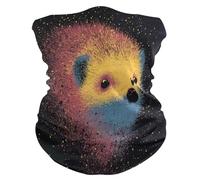 Headwrap Crazy Creatures Hedgehog Galaxy Scaldacollo Adulto 25x50cm