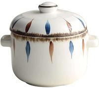 HEAGER ciotola di ceramica, ciotola di zuppa, Ciotola for zuppa di cipolle con manici e coperchio, ciotola in ceramica da 500 ml, adatta al microonde e al forno, 13,5x11x11,8 cm, blu(White1)