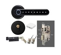 HEALBYBLE Blocco biometrico intelligente for impronte digitali con telecomando compatibile APP Tuya for porta in metallo in legno for interni(C6 Kit D)