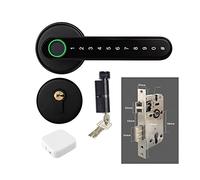 HEALBYBLE Blocco biometrico intelligente for impronte digitali con telecomando compatibile APP Tuya for porta in metallo in legno for interni(5845 with gateway)
