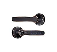 HEALBYBLE TTLOCK Smart Door Lock Comando vocale AI Supporto for impronte digitali(Black Password)