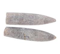 HEALEEP 2 Pezzi di Esemplare Naturale di Belemnite 5-6 Cm per Didattica e Decorazione, Campione Fossile Epifaunistico Autentico per Appassionati di Geologia e Collezioni Scientifiche