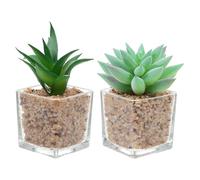 HEALEEP 2 Pezzi Piante Grasse Artificiali Vasi in Pvc e Vetro, Aspetto Realistico e Compatto, Facili da Curare, per Decorazione Casa e Ufficio