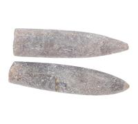 HEALEEP Fossile Facile da Trasportare di Belemnite 2 Pezzi Campione Naturale per Studi di Geologia e Paleontologia da Esporre in Aula per Studenti