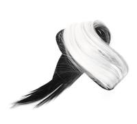 HEALEEP Parrucca Lunga da Donna Due Toni Nero e Bianco in Seta Resistente al Calore Design Delicato, Adatta per Cosplay e Performance Sceniche, Comoda e Skin Friendly