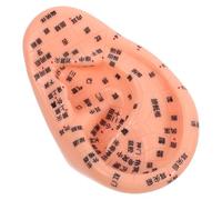 Healeved Ear Acupuncture Point Model Strumento Per Massaggio Auricolare Medicina Cinese Per Apprendimento Agopuntura e Digitopressione Di Comfort e Sicurezza Materiali Resistenti Per Uso