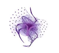 Healeved Fascinator Vintage con Rete e Copricapo per Halloween e Cerimonie Accessorio per Cosplay e Matrimonio