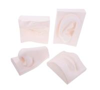 Healeved Modello Organi Senso in PVC Indistruttibile Set da 4 Pezzi per Schizzi Artistici Ausili Didattici per Studenti Portatile per Pratica Disegno e Decorazione Casa Ufficio