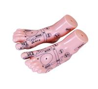 Healeved Strumento Di Apprendimento Della Riflessologia Plantare Con Simulazione Del Piede Umano Per La Formazione
