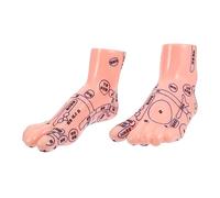 Healeved Strumento Per Riflessologia e Riflessoterapia in Materiale Resistente Per Acupressione Del Piede Educazione Plantare Per Scuola Famiglia e Professionisti