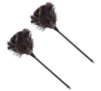 Healifty 2 Pz Piumino Di Struzzo Strumenti Per La Pulizia Strumento Per La Pulizia Delle Spolverino Manico Lungo