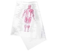 Healifty 2pezzi Poster Anatomico Scheletrico Stile Creativo Per Decorazione Domestica e Didattica Per e Feste Resistente e Facile Da Leggere