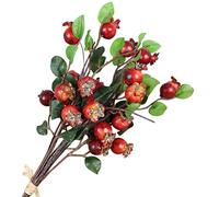 HEALIFTY Gruppo di 5 Bacche di grandine Artificiali Simulazione di Melograno (Rosso)