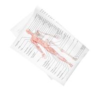 Healifty Poster Anatomia Scientifica Muscolare Scheletrico su Seta Resistente per Insegnamento Medicina Decorazione Aula e Laboratorio