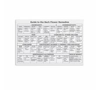 Healing Blossoms Chart Flower Essences Guide for Mood and Wellbeing Holistic Therapy Reference Poster Wall Art for Home Decor(Unframed,08x12inch(20x30cm))