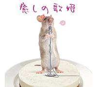 HEALING DIVA - VARIOUS