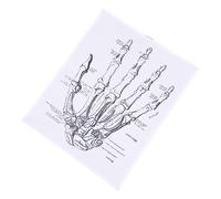 HEALSOPTHY 1 Pz Poster Dettagliata per Studio e Decorazione per Scuole e Laboratori e Facile da Leggere Ottimo Strumento Insegnamento