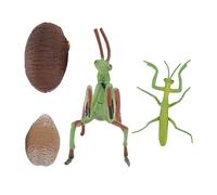 HEALSOPTHY 1set Figurine Educative Mantis Animale Per Sviluppo Cognitivo e Riconoscimento Dei Giocattolo Didattico Per Simulazione Del Ciclo Di Vita Per Scuola