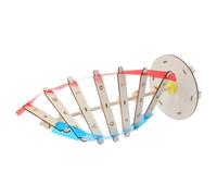 HEALSOPTHY Dna Doppia Autocostruibile Strumento Didattico Biologia per Scuola e Laboratori Educativi per Studio e Mutazioni