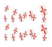 HEALSOPTHY Ghirlanda Bandierine Irlanda del Nord Resistente Sbiadimento Decorazione Festa Nazionale Outdoor Leggera per Giardino e Eventi Parate
