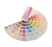 HEALSOPTHY Mazzetta Colori Ral 365 Campioni di Colore su Carta e Plastico, Pratica e Portatile per Progetti Fai-da-te e Selezione Artistica