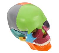 HEALSOPTHY Modello Anatomico Teschio Colorato con Sezioni Staccabili per Studio Anatomia Strumento Didattico per Scuole Mediche e Laboratori Rappresentazione Realistica e Dettagliata