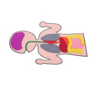 HEALSOPTHY Set Giocattoli Didattici Umani 3 per Creativi per Sviluppo Cognitivo e Creatività per Attività da Te e Compleanni