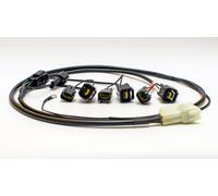 HEALTECH CAMBIO ELETTRONICO CABLAGGIO TRIUMPH SPRINT ST 955 1999-2000