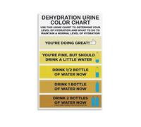 Health and Hydration Chart Modern Canvas Wall Art for Bathroom Office Decor Inspirational Guide to Self Care and Body Awareness(Framed,08x12inch(20x30cm))