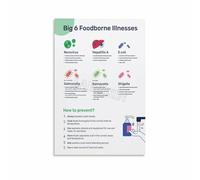 Health and Poster Food Kitchen Hygiene Rules Guide Wall-Art Canvas Print for Kitchen Decor Restaurant Cafe Home Informational Educational Chart(Unframed,08x12inch(20x30cm))