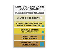 Health Education Poster Urine Color and Hydration Level Chart Body Wellness Guide Reference Sign for Gym Home Clinic Office Bathroom Wall Decor Art(Unframed,12x18inch(30x45cm))