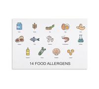 Healthy Eating Food Groups Chart Nutrition Poster Balanced Diet Guide MyPlate for Classroom Kitchen Homeschool Educational Decor(Unframed,08x12inch(20x30cm))