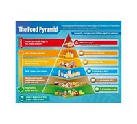 Healthy Eating Food Pyramid Chart Educational Wall Art for Nutritionist Office School Decor Science Teacher Gift Idea(Framed,12X18inch(30X45cm))
