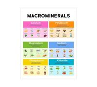 Healthy Eating Poster for Kids Vitamins Minerals Educational Chart Essential Nutrients Guide with Food Sources for Classroom Kitchen School Decor(Unframed,08x12inch(20x30cm))