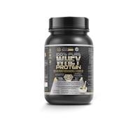 Healthy Fusion Whey Protein | Proteina Whey pura con Collagene + Magnesio | Tonifica e aumenta la massa muscolare | Migliora i tuoi allenamenti | 1000g di proteina (Vaniglia)