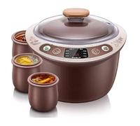 Healthy Purple Clay Slow Cooker - Pentola elettrica intelligente da 2,5 l per pasti in famiglia con appuntamenti e cottura a vapore
