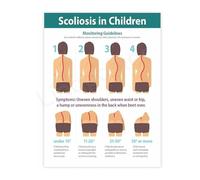 Healthy Sitting Posture Infographic Poster Canvas Wall-Art for Remote Worker Desk Setup(Framed,12x18inch(30x45cm))