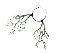 Healvian 1 Pz Diadema Da Strega Maschera Spaventosa Diavolo Corna Finte Corna Di Fascia Per Copricapo Fascia Per Halloween Per Mascherata Cervo