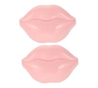 Healvian 2 pezzi Maschere per Labbra Idratanti e Nutrienti Patch Gel per Labbra Secche e Screpolate Cura Labiale Delicata Giorno e Notte con Collagene