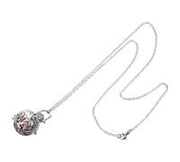 Healvian Collana Urna per Animali Domestici in Acciaio Resistente Medaglione Commemorativo con Coperchio Collana Ricordo Ceneri Piccola e Portatile per Uso Personale e Regalo di Conforto